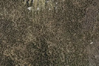 Camp site