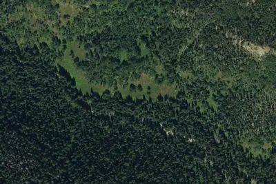 Camp site
