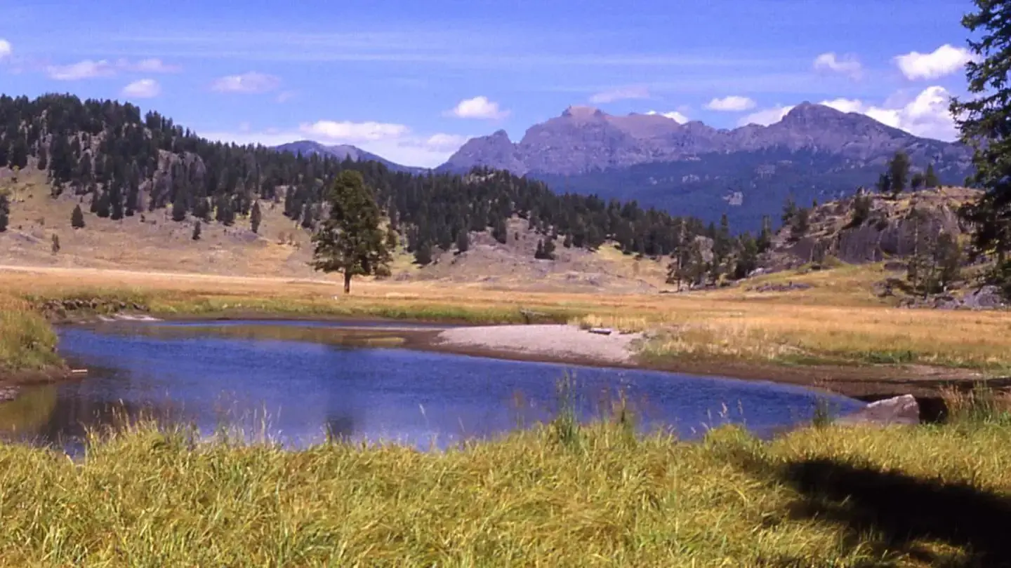 Slough Creek with Cutoff Peak in the background under a blue sky