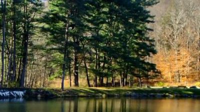 Pine Grove Boat Access Campground