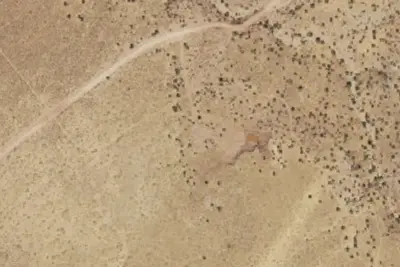 Camp site
