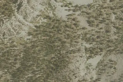 Camp site