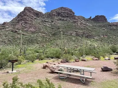 The view at Alamo Canyon features several mountains in the distance, cacti all around, and a wash that runs with water during the summer season.