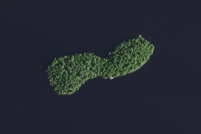 Fern Island