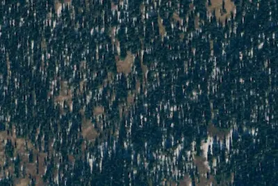 Camp site