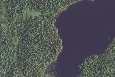 Camp site (USFS)