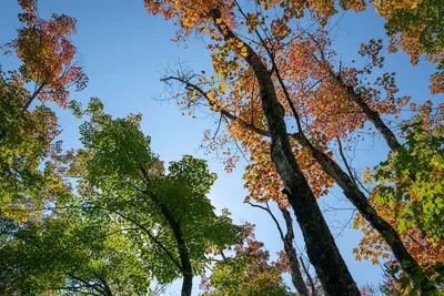 Fall Colors on Minnesota's North Shore (30876138147)