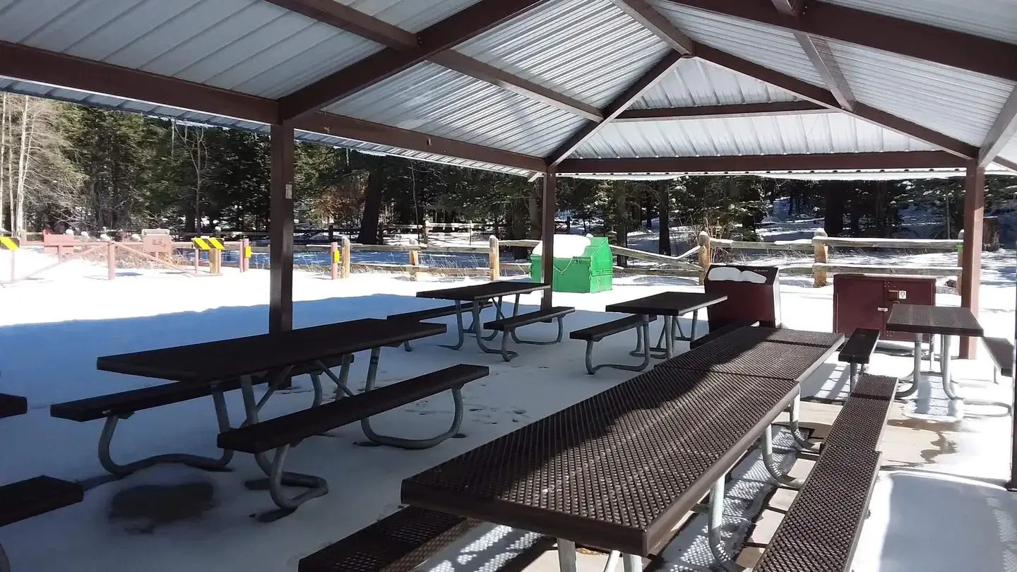 Black Bear Group Campground: shaded picnic area