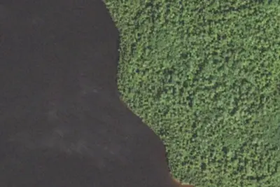 Timber Lake Site 1