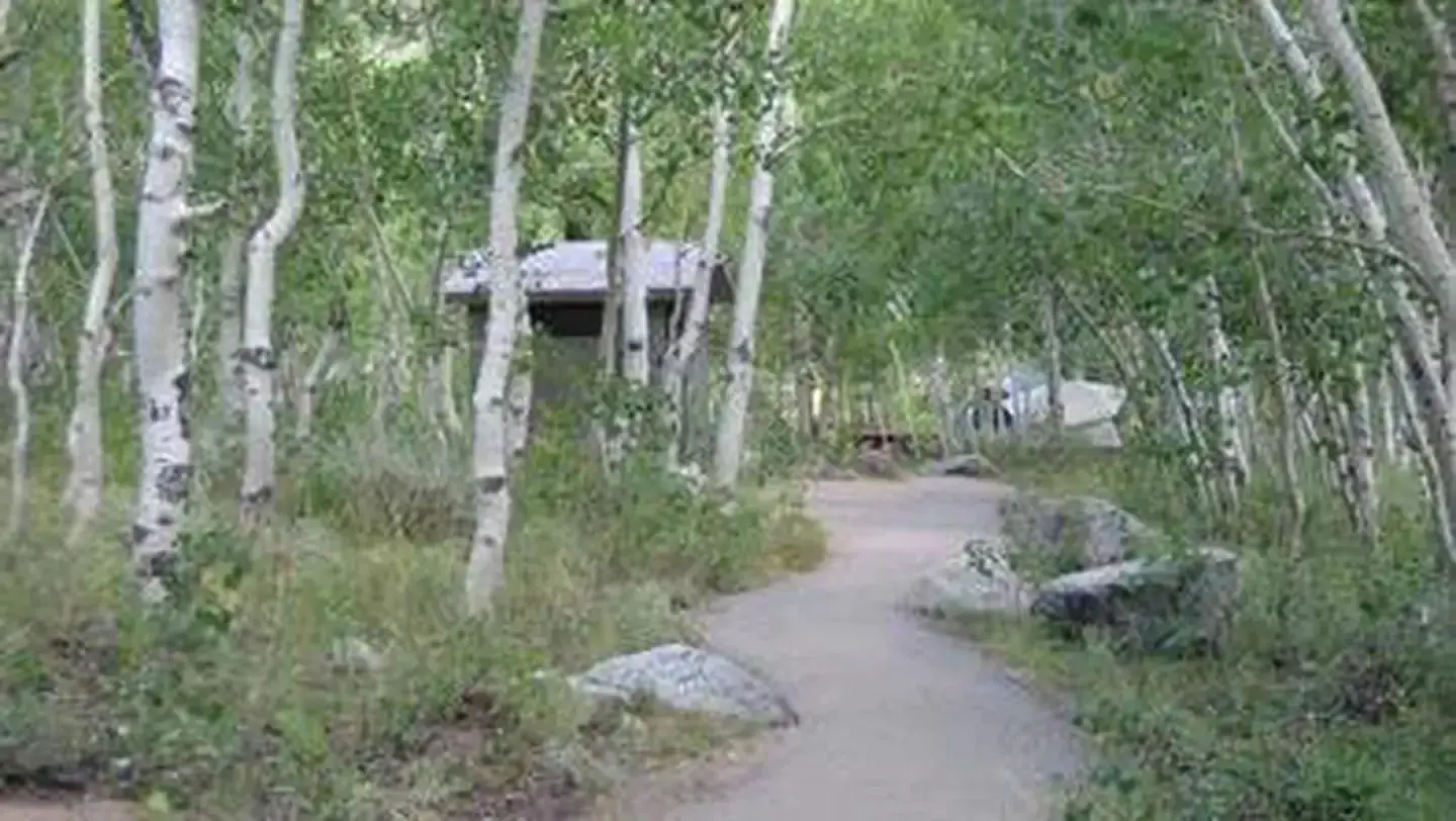 A path winds between trees to a restroom facility