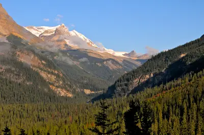 Field - BC - Yoho National Park - panoramio