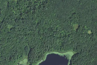 Gut Lake - Nct W53