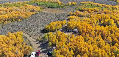 Lily Lake fall foliage, Steens Mountain (48838722396)