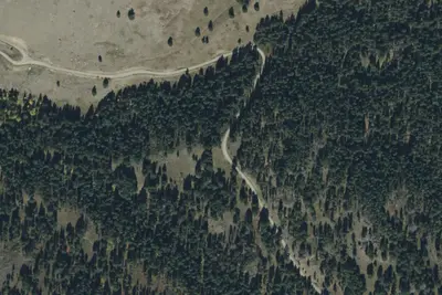 Palmer Mtn Road-003