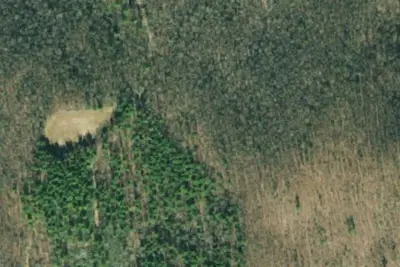 Camp site