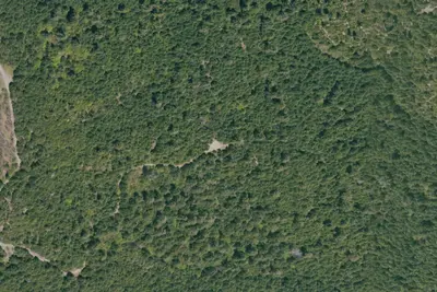 Camp site