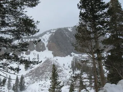Mammoth Lakes (January 2008) 16