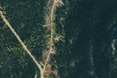Camp site
