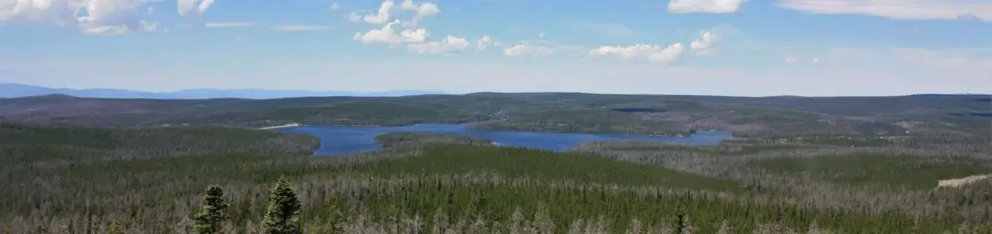 Rob Roy Reservoir, Medicine Bow-Routt National Forest