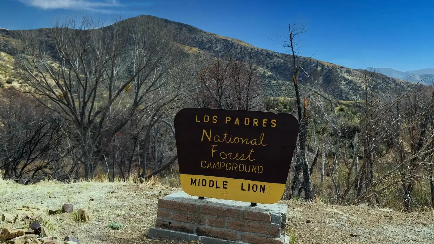 Middle lion campground.