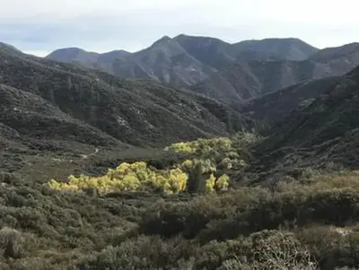 Middle Lion Campground