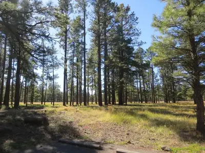 Pinegrove Campground