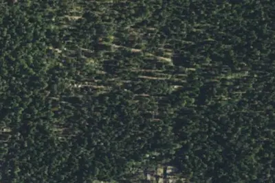 Pine Valley