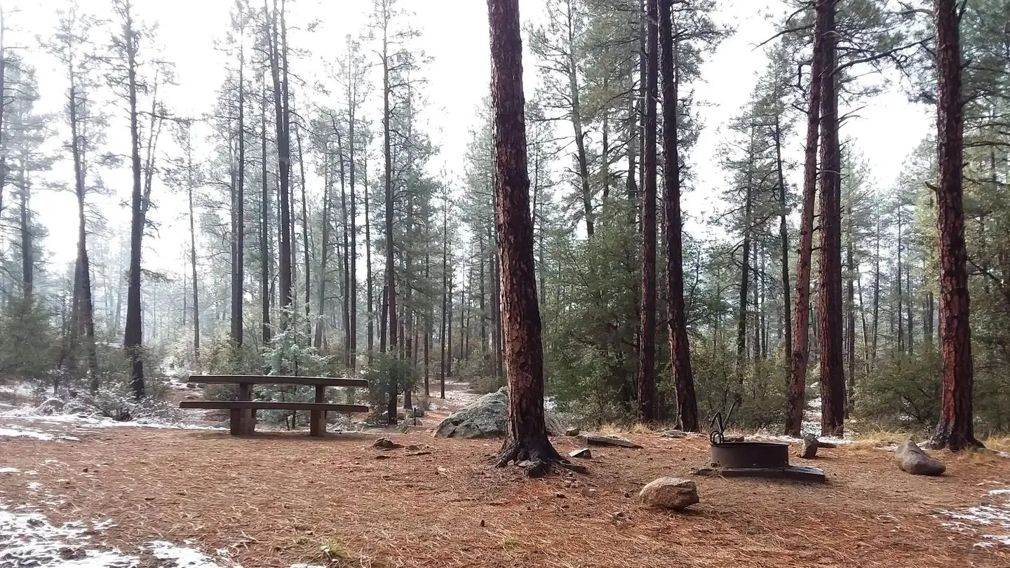 White Spar Campsite on a Misty Morning