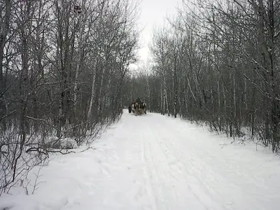 Birds Hill Provincial Park, Manitoba (370123) (9441776367)