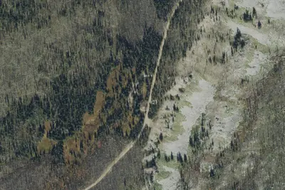 Observation Point Campground