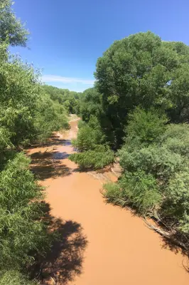 Gila River lined with trees in the Gila Box Riparian National Conservation Area (55125890789)