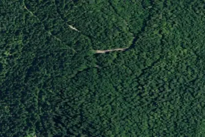 Rd 614 Site 8