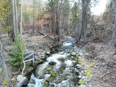 Twenty-Five Mile Creek WA state