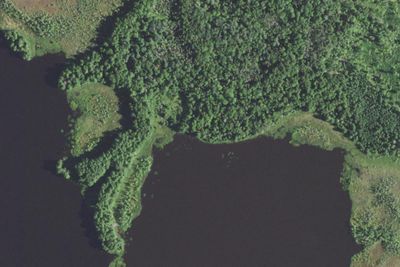 Wilson Lake