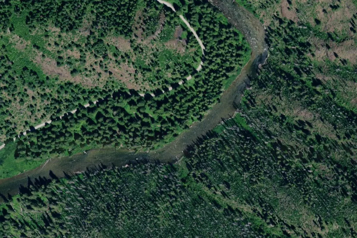 Aerial view