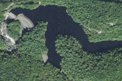 Tanasee Lake Dispersed Campsites
