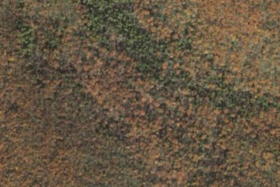 Race Brook Campsites