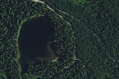 Forlorn Lakes Campground: Sites 16-21