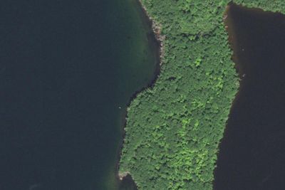 Pallette Canoe 1