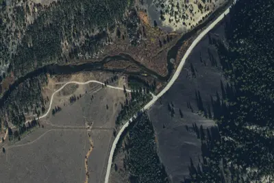 Poor Trees