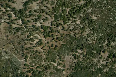 Thomas Mountain & Toolbox Springs Yellow Post Site