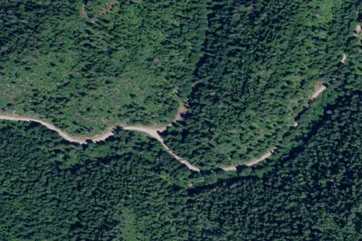 Rd 437 Site 12