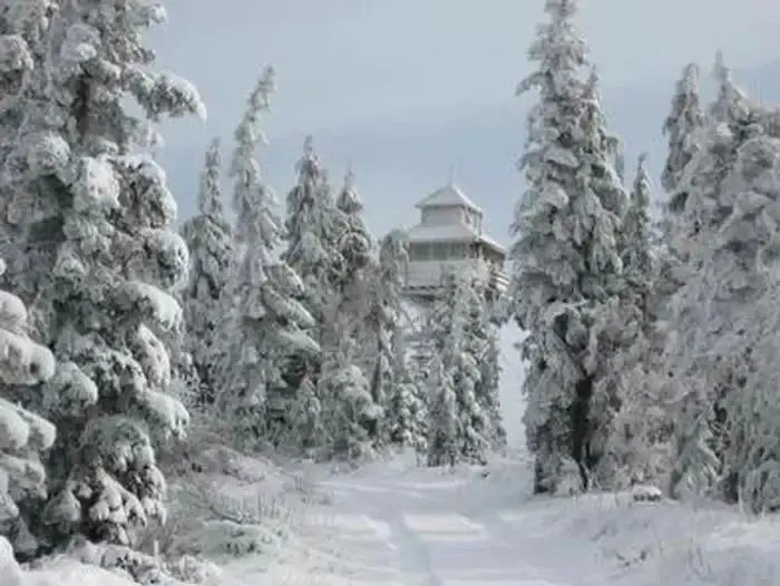 Tire tracks on a flat snow covered road flanked by snow covered conifers with a snow covered lookout tower and gray-blue sky in the background.
