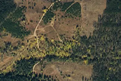 Camp site