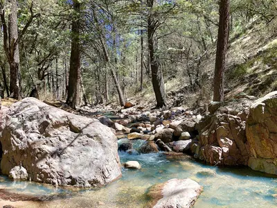 Rucker Creek (49091963566)
