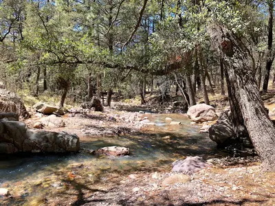 Rucker Creek (49091443718)