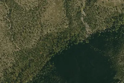 Rucker Forest Camp