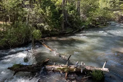 USA - New Mexico - Cimarron Canyon State Park - 52979785304