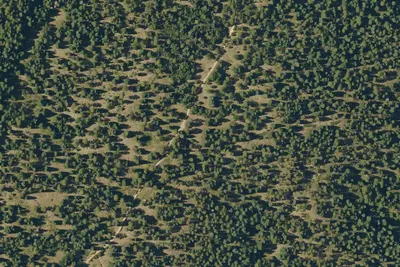 Camp site