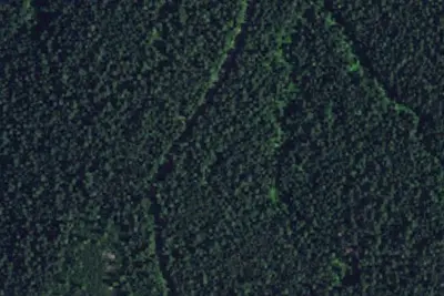 Camp site